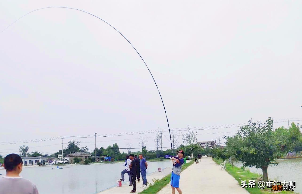 新手买多长的鱼竿合适新手怎么选鱼竿 鱼竿长度怎么选择