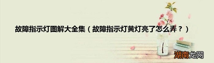 故障指示灯黄灯亮了怎么弄? 故障指示灯图解大全集