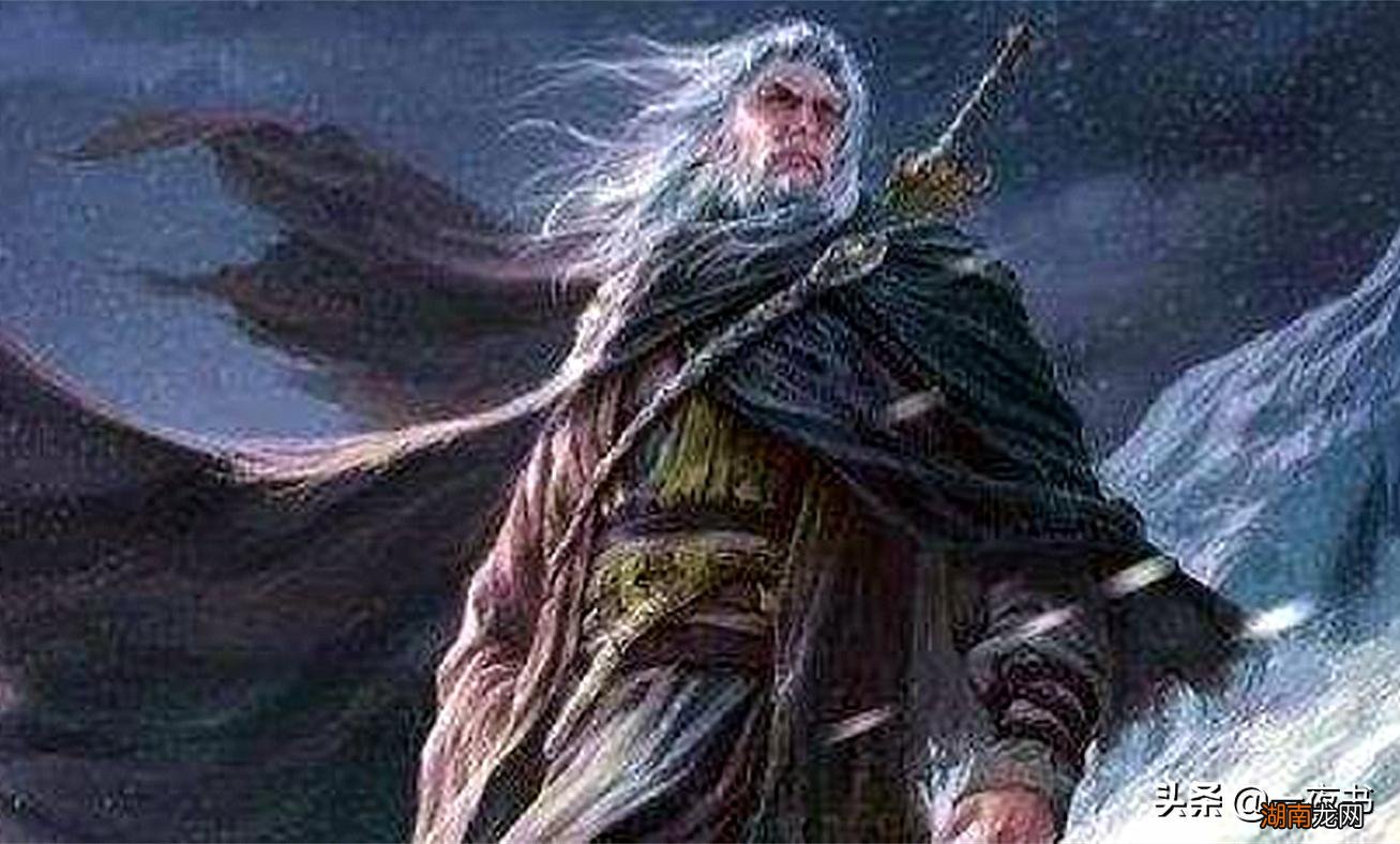 雪中悍刀行洪洗象实力最强吗 洪洗象是天下第一吗