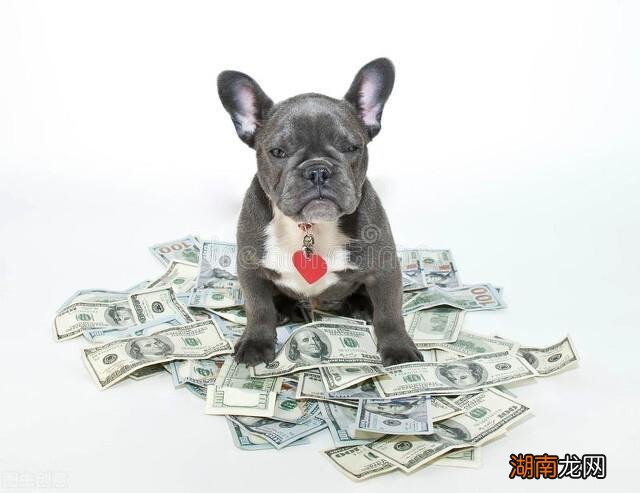 十二生肖这辈子能赚多少钱?