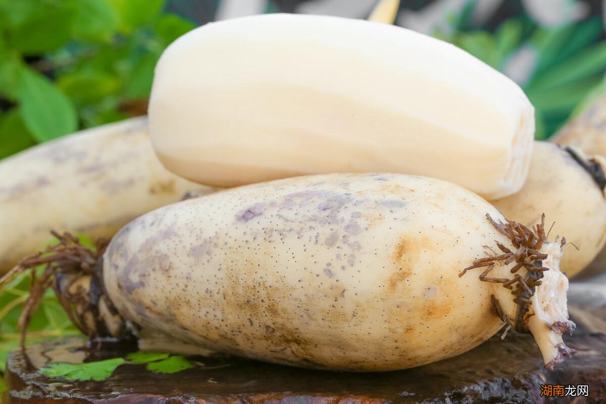 两种莲藕的口感差别大 九孔藕和七孔藕有什么区别