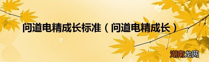 问道电精成长 问道电精成长标准