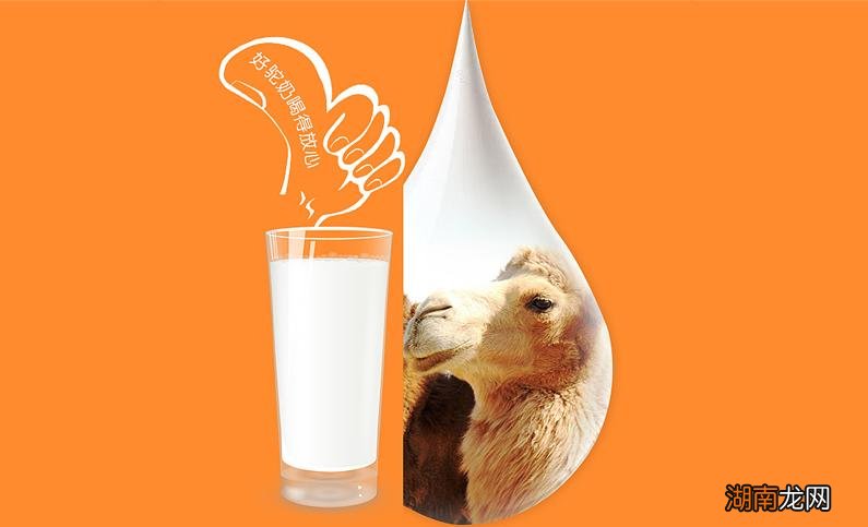 这些挑选方法必须收藏 怎么才能买到真正的驼奶粉