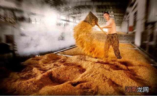 西凤酒和汾酒到底谁更胜一筹 西凤酒和汾酒哪个好