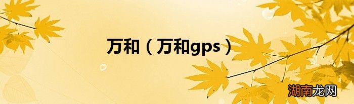 万和gps 万和