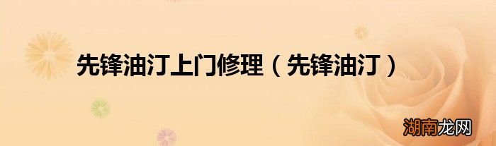 先锋油汀 先锋油汀上门修理