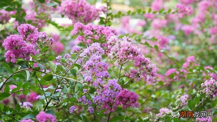 聪明女人怎么对付出轨的男人 对付男人出轨最厉害的方法