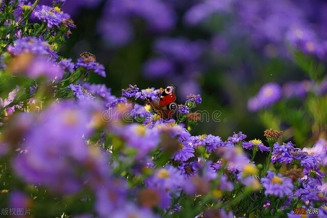 判断自己是否遇到命中注定正缘了 女生正缘来到的征兆
