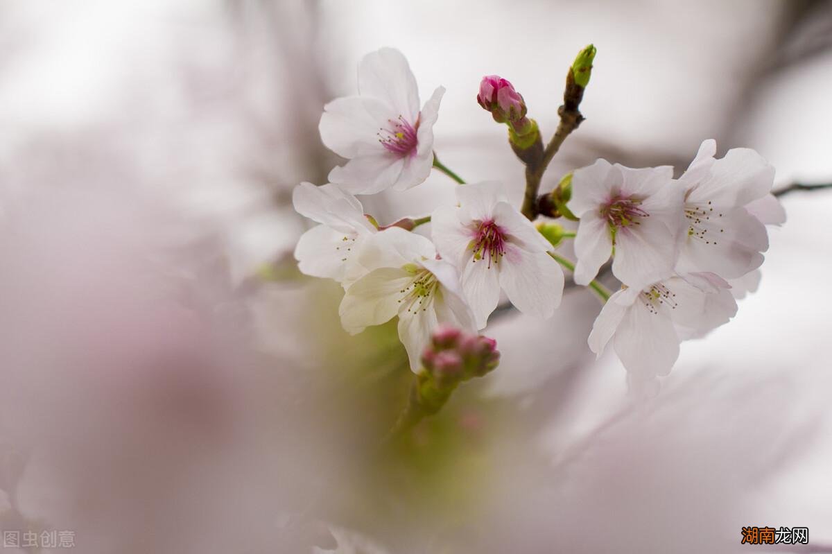 判断自己是否遇到命中注定正缘了 女生正缘来到的征兆