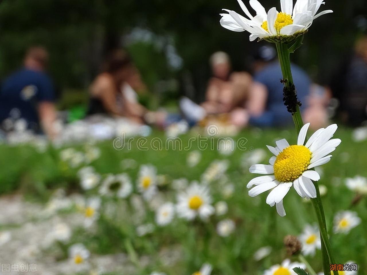 判断自己是否遇到命中注定正缘了 女生正缘来到的征兆