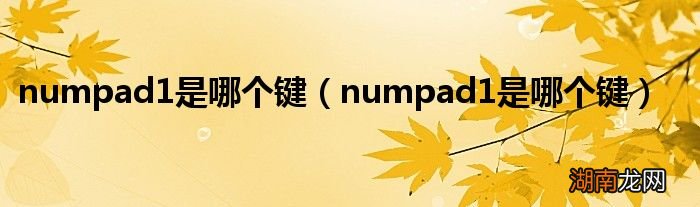 numpad1是哪个键 numpad1是哪个键