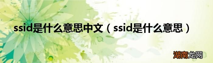 ssid是什么意思 ssid是什么意思中文