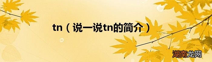 说一说tn的简介 tn