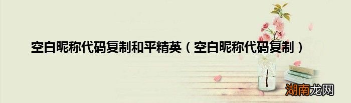 空白昵称代码复制 空白昵称代码复制和平精英