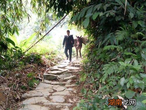 坐缸肉身不腐的科学原因是什么 坐缸圆寂是什么意思