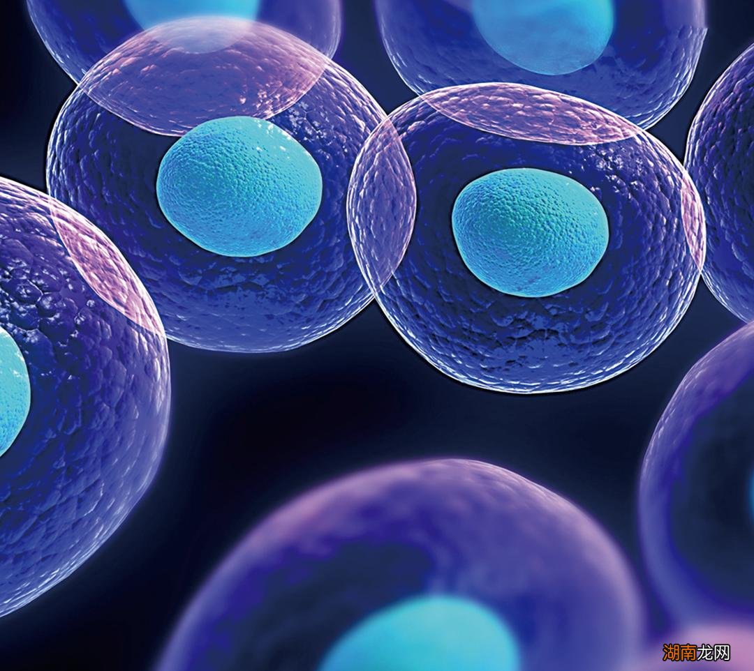 死人在棺材多久会腐烂变化 人在棺材腐烂过程图片