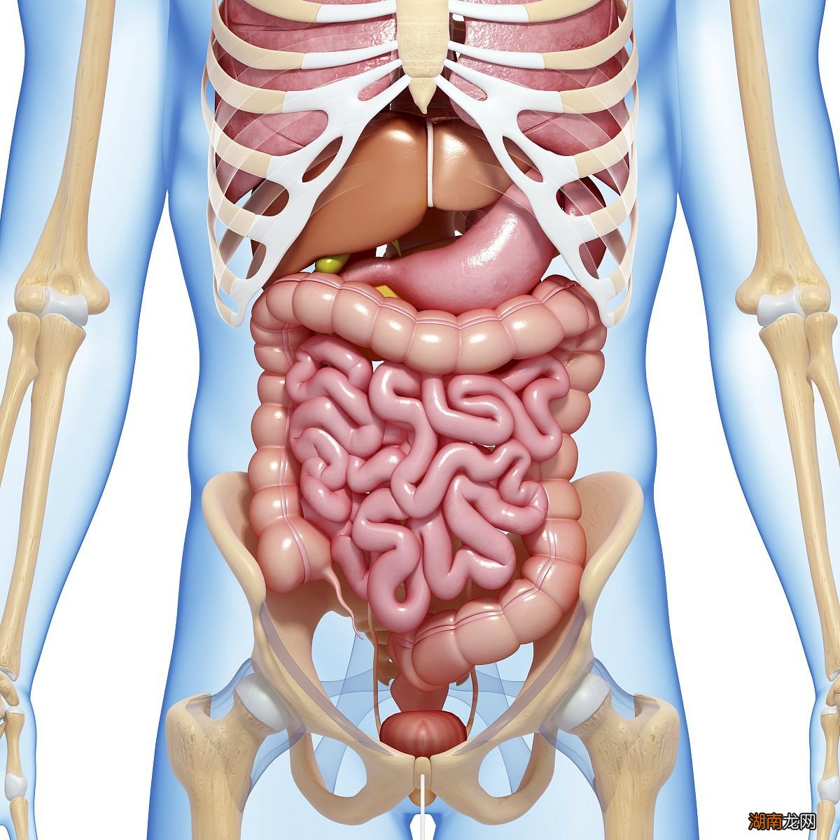 死人在棺材多久会腐烂变化 人在棺材腐烂过程图片