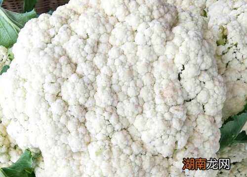 花菜煮熟要几分钟可以吃