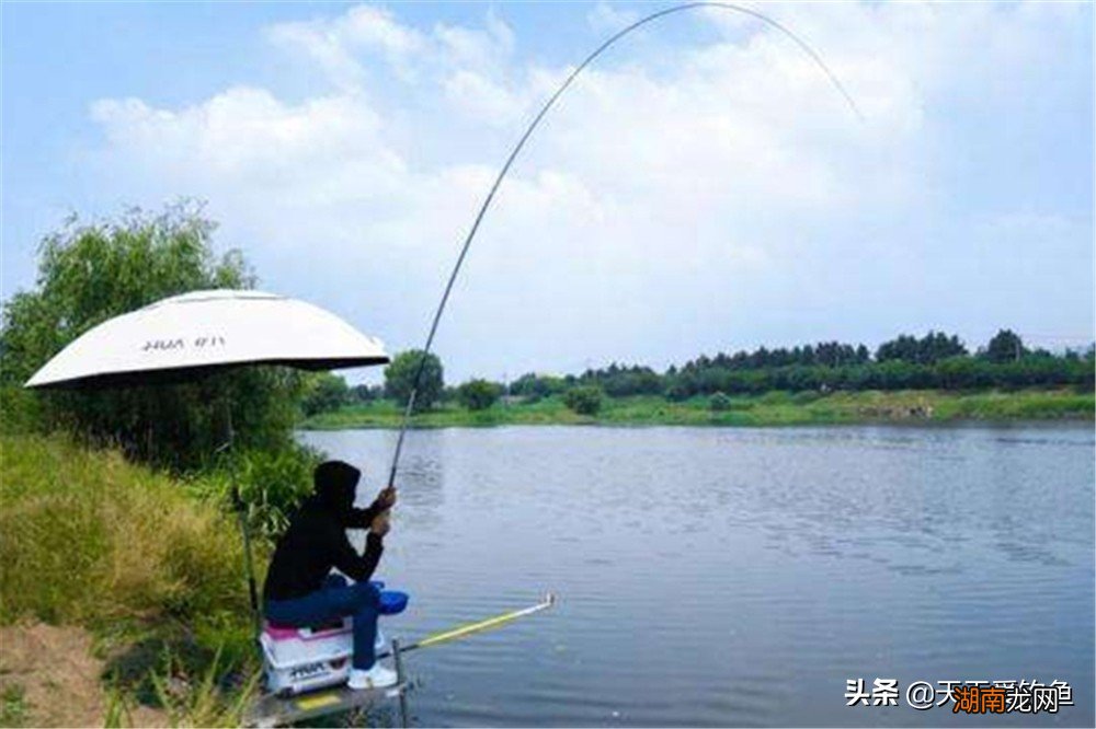 手竿钓鲢鳙用多大的漂子线组合适 手竿怎么钓鲢鳙最好