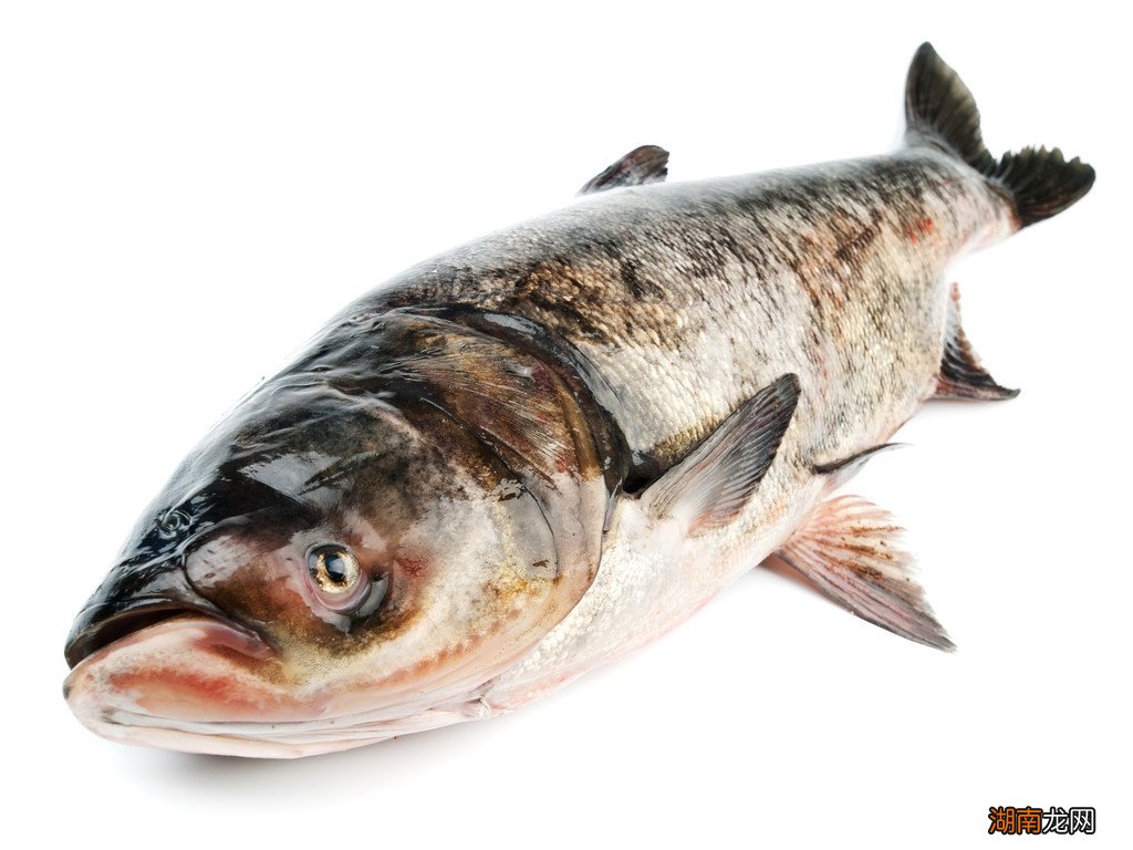 晚上钓鱼一口都没有咋回事 夜钓无口解决方法与技巧