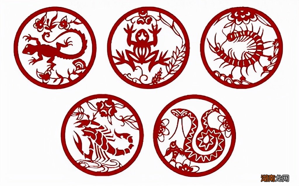 有毒的壁虎都藏在什么地方 壁虎喜欢在什么环境下生存