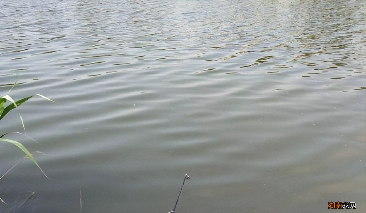 夏天什么时间钓鱼是最佳时机 天气热钓鱼钓深还是浅好