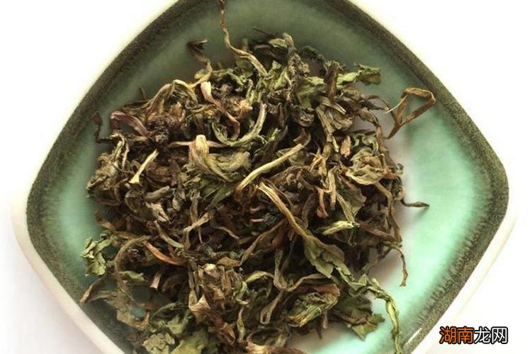 蒲公英直接晒干还是蒸后晒干效果好