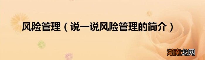 说一说风险管理的简介 风险管理