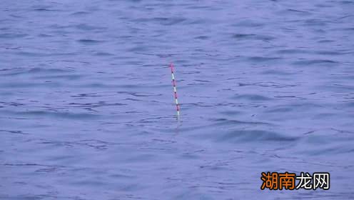 详细分享野钓怎样调漂最合适 钓鱼钓浮调漂的正确方法