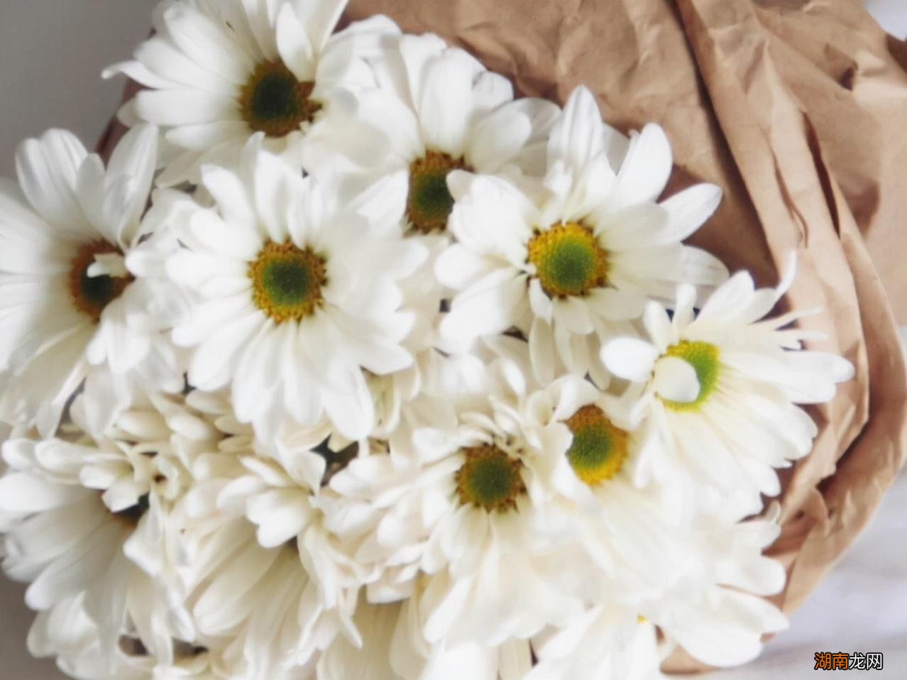 双子座真正动心的三种信号 双子座开始走心的表现