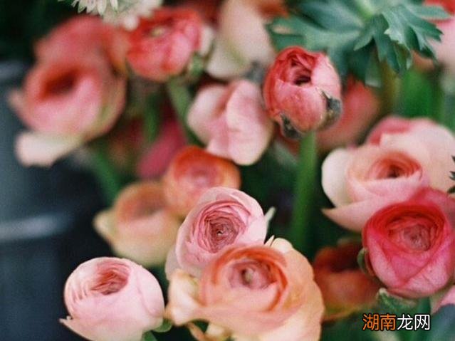 双子座真正动心的三种信号 双子座开始走心的表现