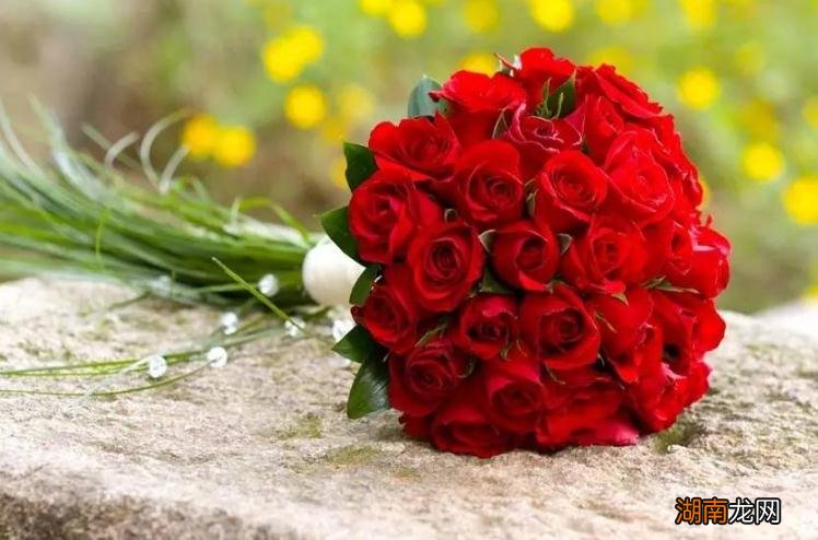 两个真心相爱的人拥有共情力 共情能力是什么意思