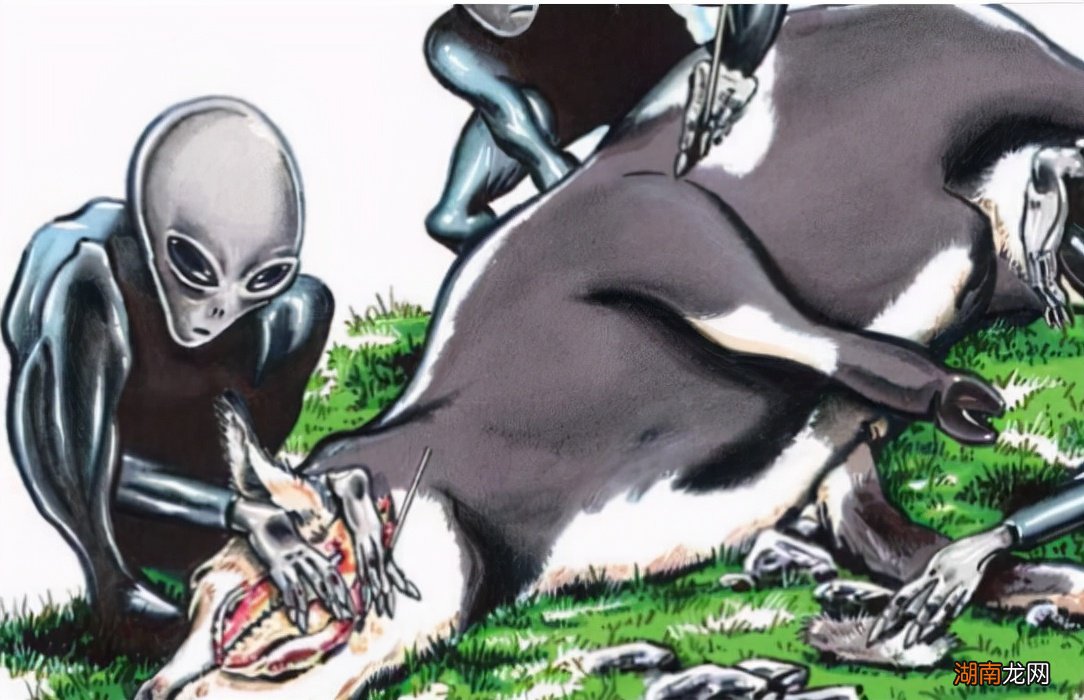 美国屠牛事件是外星人干的还是人为的 外星人屠牛事件真假