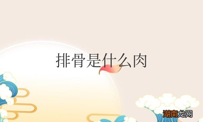 平常吃的排骨是什么肉