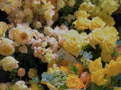 能让霸气水瓶变柔软的三大星座 水瓶座最心疼哪个星座