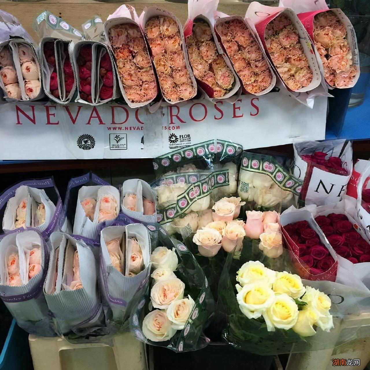 和天蝎座天作之合的两个星座 天蝎男最佳妻子的星座