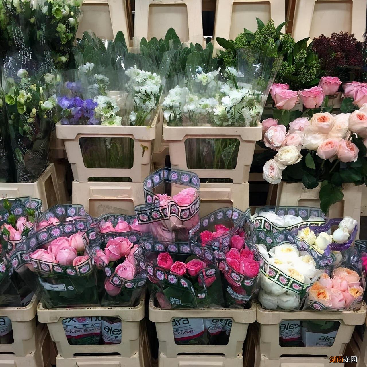 和天蝎座天作之合的两个星座 天蝎男最佳妻子的星座