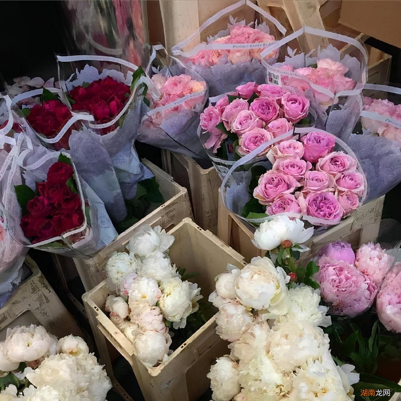 和天蝎座天作之合的两个星座 天蝎男最佳妻子的星座