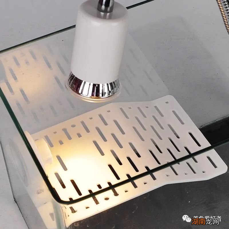 乌龟用uvb灯和晒背灯哪个好 uvb灯是什么灯