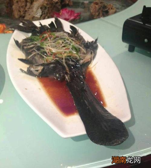 人工鲟鱼好吃吗？什么味道？