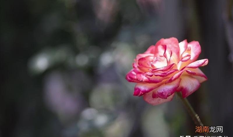 异地恋男朋友不接电话还要继续吗 男人故意不接电话心理