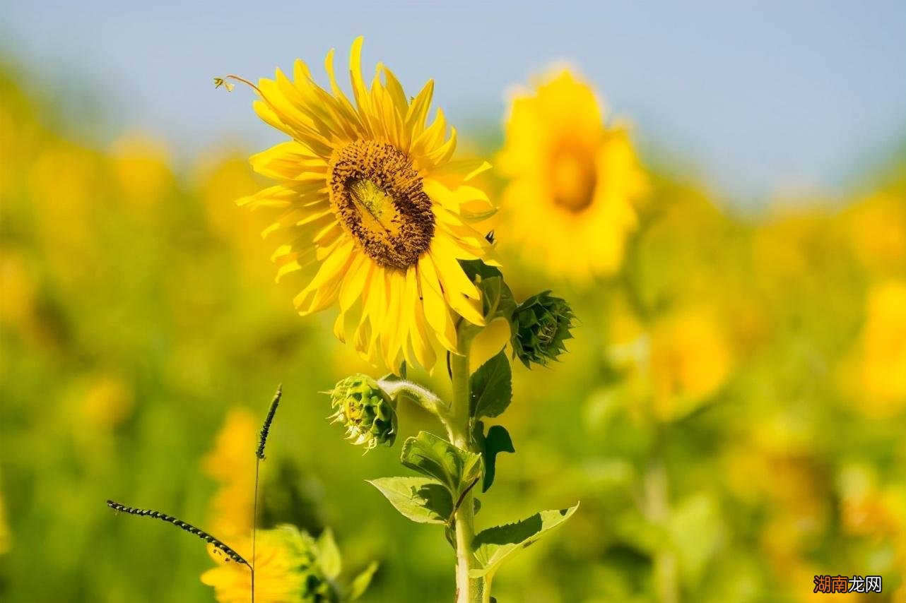 追金牛座男生不被拒绝技巧 怎么追金牛座男生让他喜欢上你