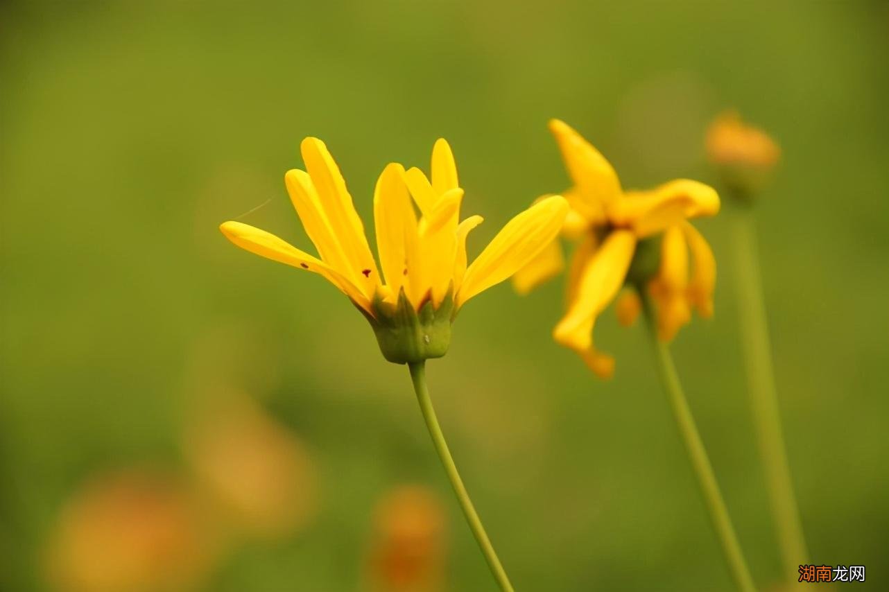 追金牛座男生不被拒绝技巧 怎么追金牛座男生让他喜欢上你