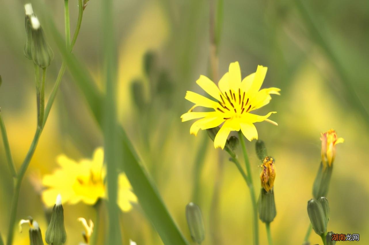 追金牛座男生不被拒绝技巧 怎么追金牛座男生让他喜欢上你