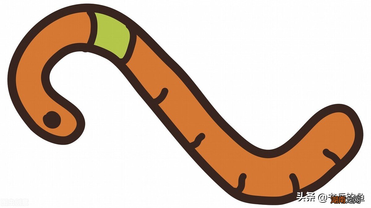 野钓用丁香做饵料真的有用吗 钓鱼为什么禁止用丁香