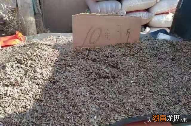 农村大集上投入小利润大的生意 农村集市暴利的小生意