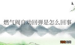 天燃气阀自动回弹是怎么回事