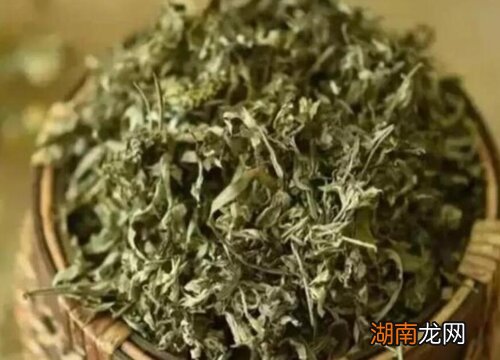 闻艾草对人身体有害吗