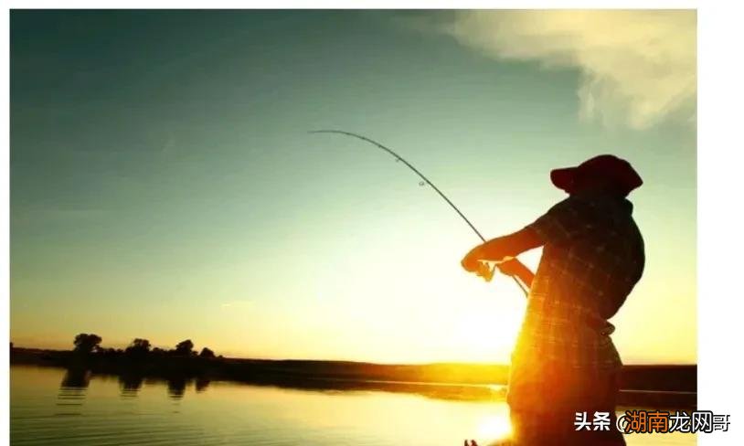 夏天应该是深钓还是浅钓 现在钓鱼钓深水好还是浅水好