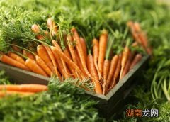 胡萝卜怎么保存时间长新鲜